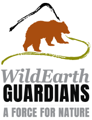WildEarth Guardians