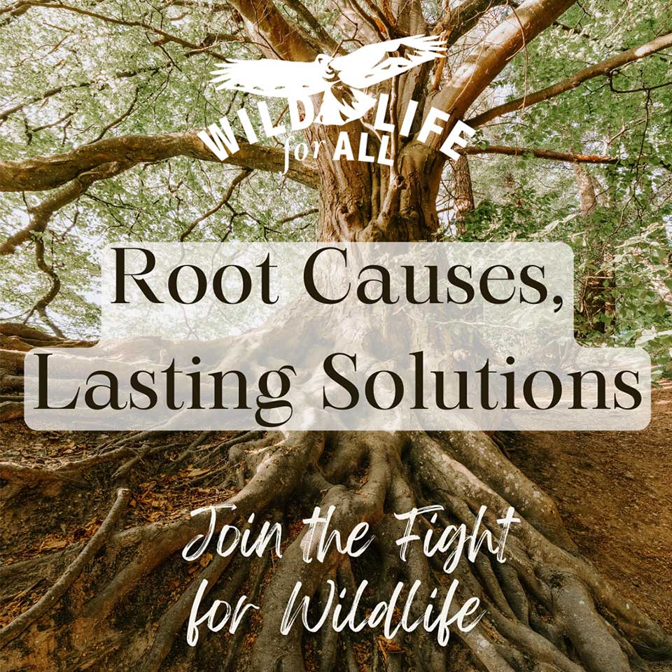 Wildlife for All: Root Causes, Lasting Solutions.