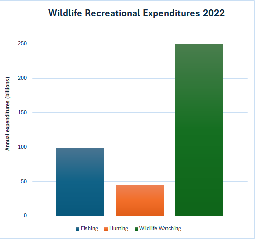 The Rise of Wildlife Watching