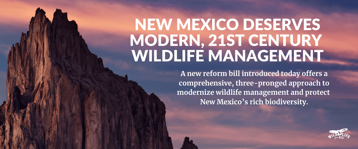 An image of Shiprock in New Mexico at sunset. The mountain is on the left side of the image, nearly silhouetted by the facing sky full of purples, pinks, and soft blues. text in the image reads, "New Mexico Deserves MODERN, 21st Century Wildlife Management. A new reform bill introduced today offers a comprehensive, three-pronged approach to modernize wildlife management and protect New Mexico’s rich biodiversity."