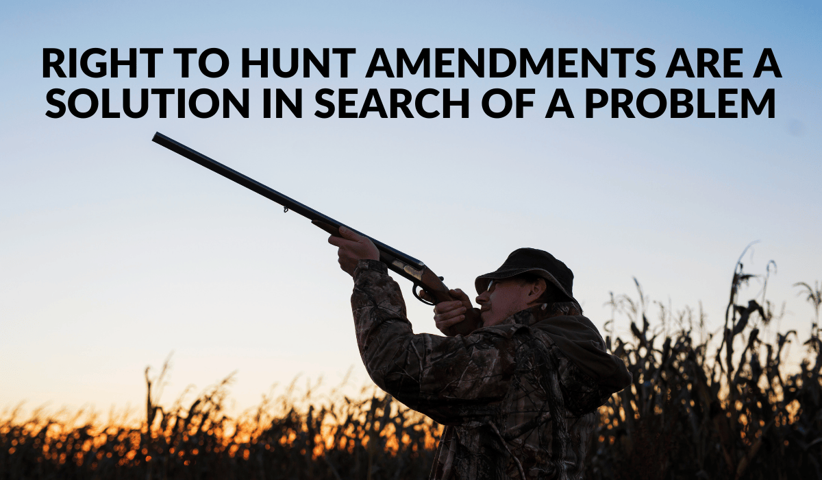A hunter in a camo jacket with a matching camo print bucket hat and glasses stands with his back to the camera and aims a rifle at the sky. He is mostly silhouetted and the bottom portion of the image shows the start of a sunrise behind the dark outline of tall grasses. Text on the image reads, "Right to Hunt Amendments are a solution in search of a problem."