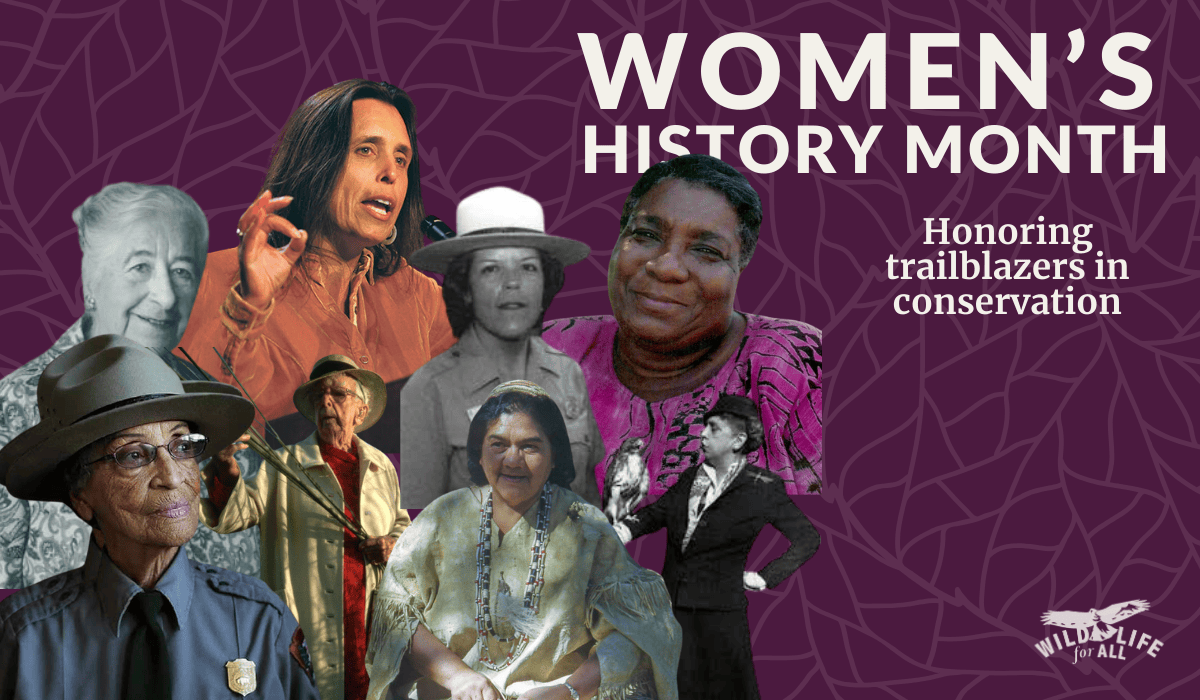 A purple background with a light pink leaf pattern over it displays the text, "Women's History Month, Honoring trailblazers in conservation." On the left side of the image, a grouping of photos of women, eight in total, shows stylized headshots of Black, white, and Indigenous women leaders featured in the blog article. 