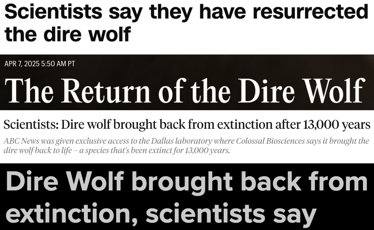 A collection of headlines from early April 2025 about dire wolves.