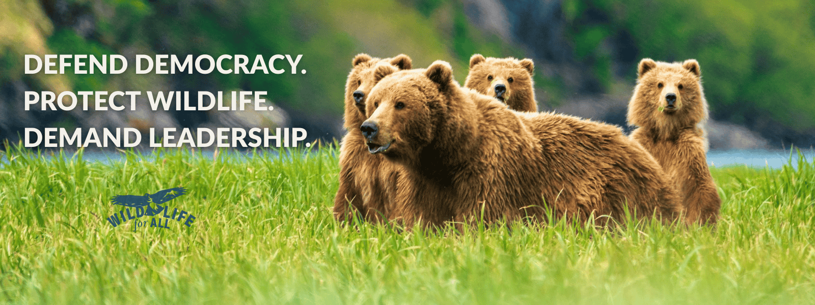 A grizzly mother and her three babies look left with dramatic mountains behind them. Text on the image reads, "Defend democracy. Protect wildlife. Demand leadership."
