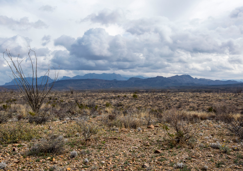 A wide view of the Chihuahuan Desert, with rugged mountains in the distance and a dark cloudy sky, sparse desert vegetation in the foreground, and open sky above—land that is threatened by the border wall and a new militarized zone designated by NSPM-4.
