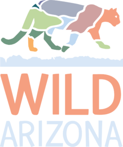Wild Arizona